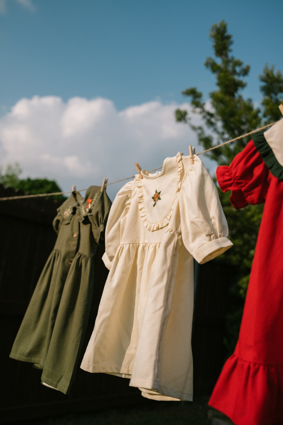 clothes-hanging-on-a-clothes-line-with-trees-in-the-background-lczmlszlvza